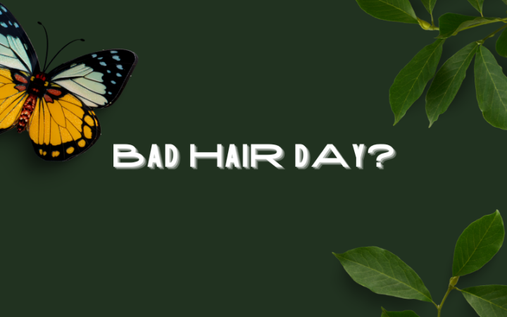 COMO LIDAR COM O BAD HAIR DAY