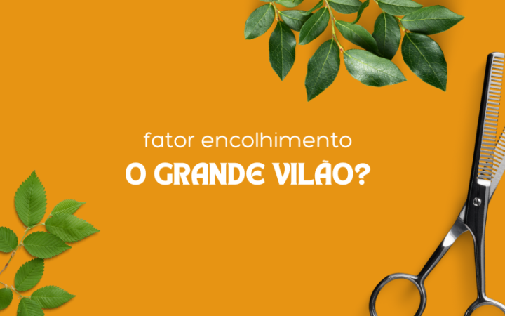 FATOR ENCOLHIMENTO, O GRANDE VILÃO?